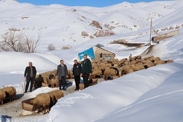 Foto - Dünyada sadece Van'da yetişiyor! Köylü bunun için büyükşehirlere gitmekten vazgeçti