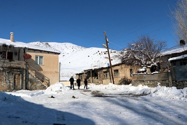 Foto - Dünyada sadece Van'da yetişiyor! Köylü bunun için büyükşehirlere gitmekten vazgeçti