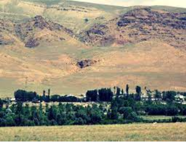 Dünyada sadece Van'da yetişiyor! Köylü bunun için büyükşehirlere gitmekten vazgeçti