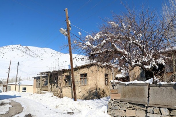 Foto - Dünyada sadece Van'da yetişiyor! Köylü bunun için büyükşehirlere gitmekten vazgeçti