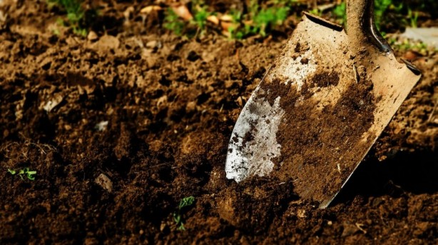 Foto - Dünyada tam 1000 yıldan bu yana kayıptı! Hollanda ülkesi arkeologları toprak içinde buldu, gözlerine inanamadı! Tarih fışkırıyor