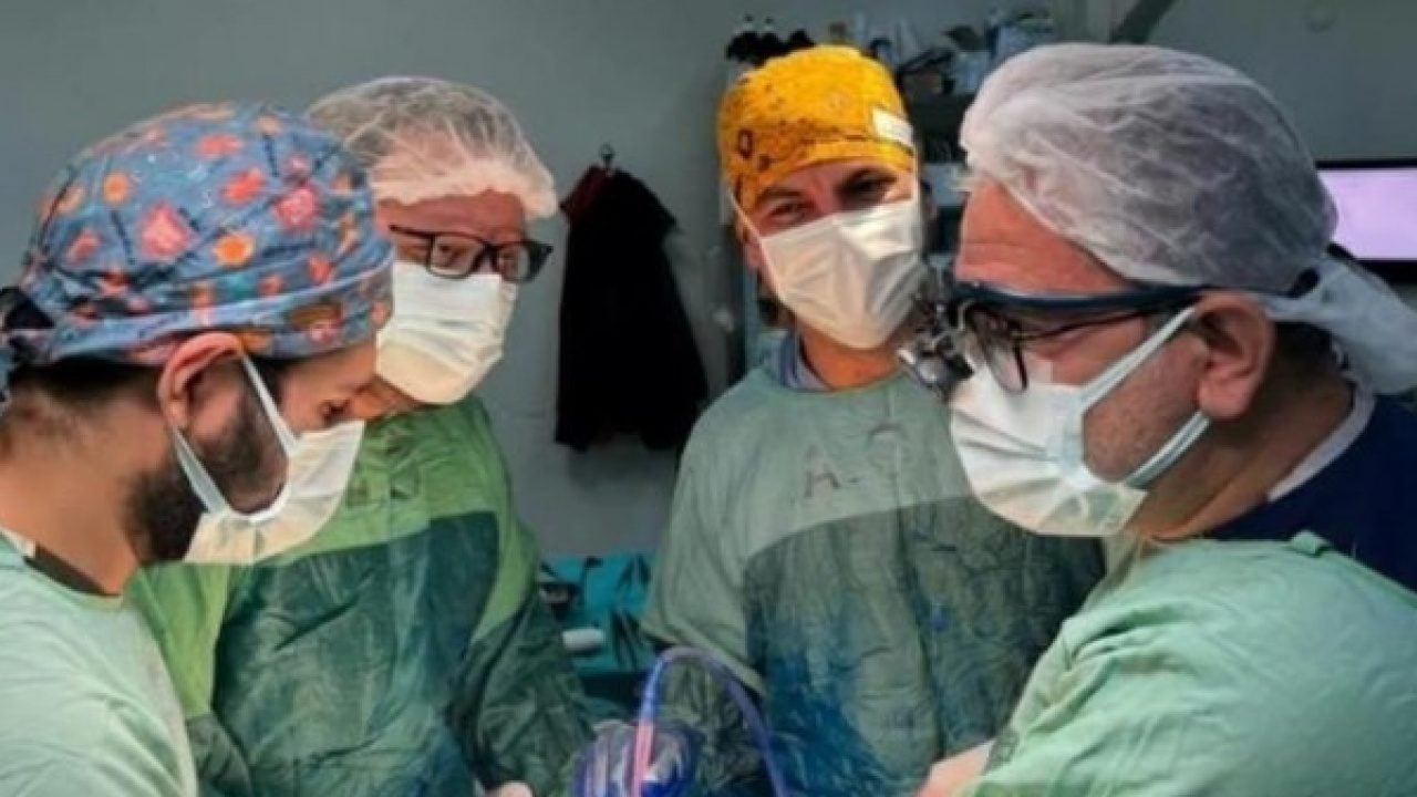 Foto - Dünyada yalnızca 3 örneği var! Türkiye’de ilk kez Giresun’da görüldü
