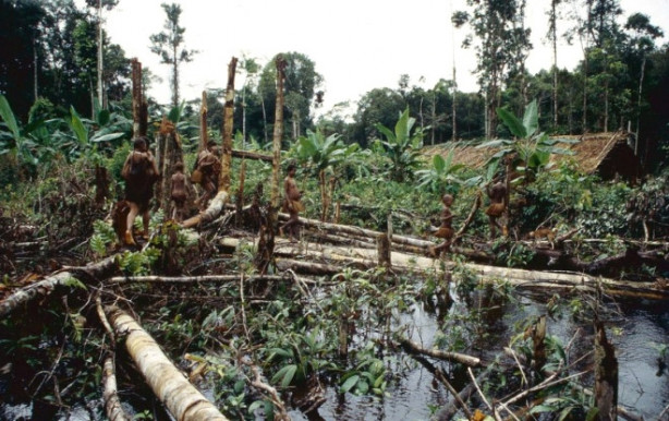 Foto - Dünya'da yaşayan son yamyam kabilesi görüntülendi