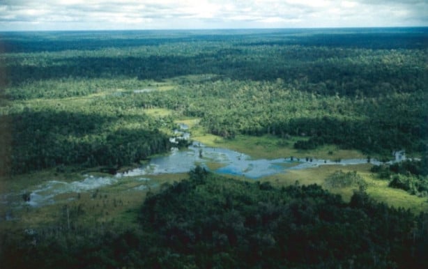 Foto - Dünya'da yaşayan son yamyam kabilesi görüntülendi