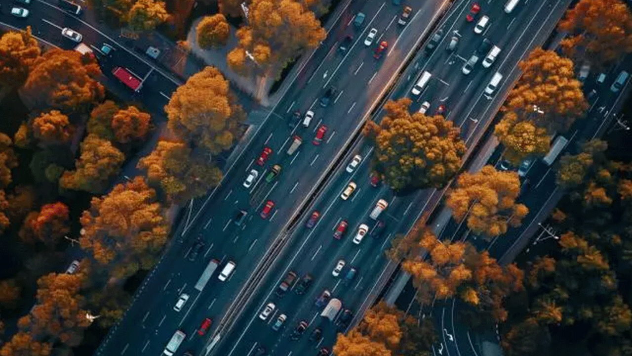 Foto - Dünyada zirveyi bırakmıyoruz! Bir ilimiz daha listeye girdi!