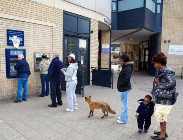 Foto - Dünyadaki bankamatiklerden komik görüntüler