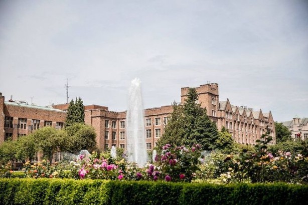 Foto - Dünyadaki en iyi 25 bilgisayar bilimi okulu