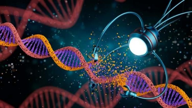 Foto - Dünyadaki ilk robotlar üremeye başladı