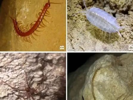 Foto - Dünyadaki Mars'ı 30 kişi gördü! Karadeniz'in yanı başında korkutan sır