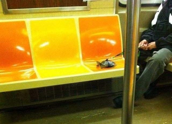 Foto - Dünyadaki metrolardan tuhaf görüntüler