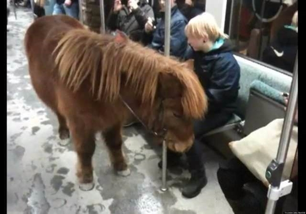 Foto - Dünyadaki metrolardan tuhaf görüntüler