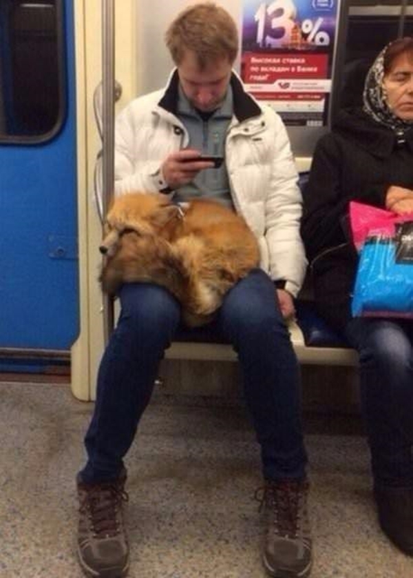 Foto - Dünyadaki metrolardan tuhaf görüntüler