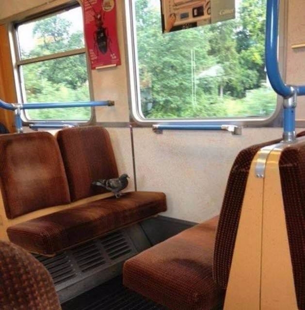 Foto - Dünyadaki metrolardan tuhaf görüntüler