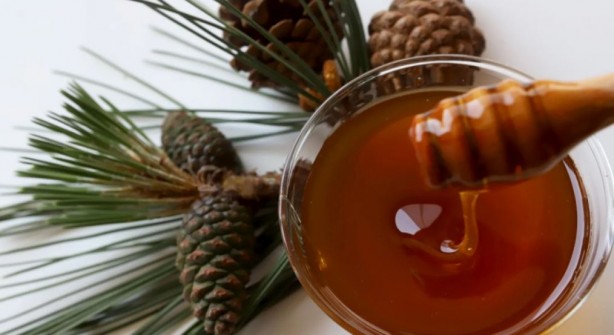 Foto - Dünyadaki üretimin yüzde 90'ını Türkiye karşılıyor! Ülkeler satın almak için sıraya girdi