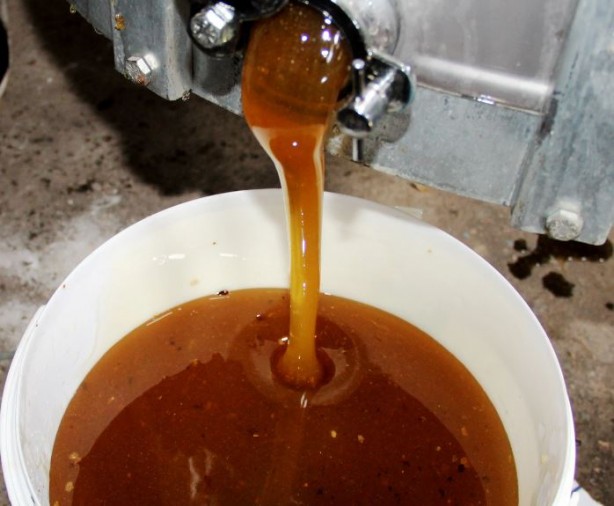 Dünyadaki üretimin yüzde 90'ını Türkiye karşılıyor! Ülkeler satın almak için sıraya girdi