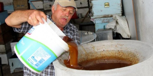 Foto - Dünyadaki üretimin yüzde 90'ını Türkiye karşılıyor! Ülkeler satın almak için sıraya girdi