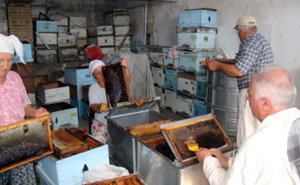 Foto - Dünyadaki üretimin yüzde 90'ını Türkiye karşılıyor! Ülkeler satın almak için sıraya girdi