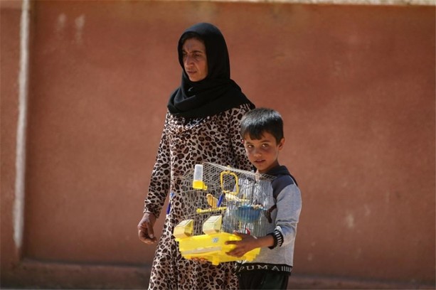 Foto - Dünyadan görüntüler