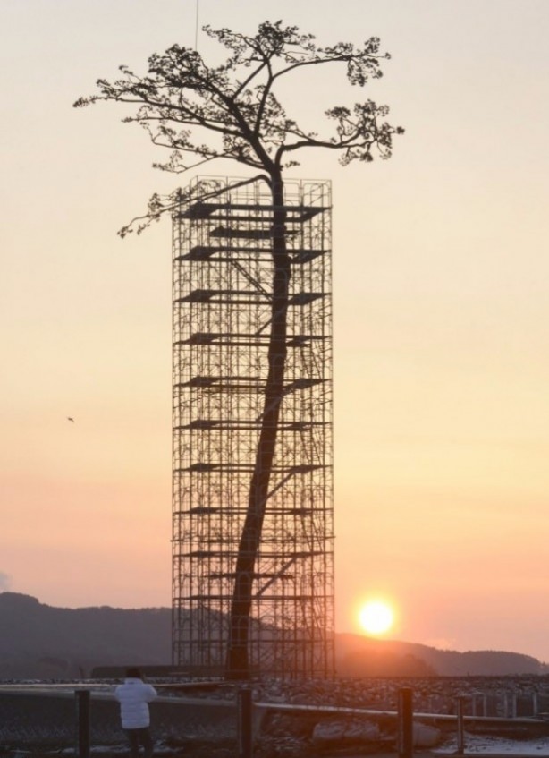 Foto - Dünyadan ilginç görüntüler