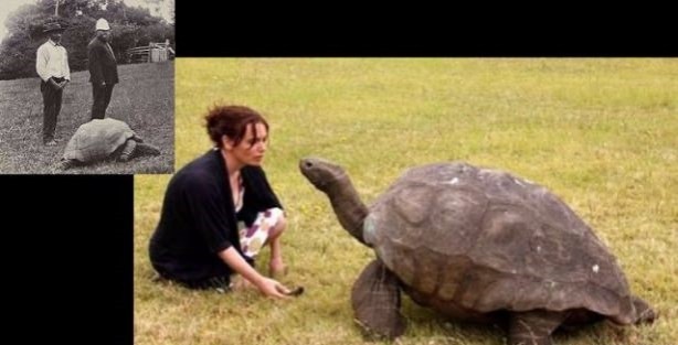 Foto - Dünyadan ilginç görüntüler