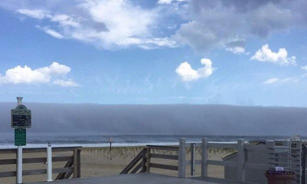 Foto - Dünyadan ilginç görüntüler