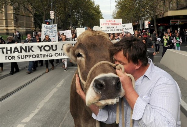 Foto - Dünyadan ilginç kareler
