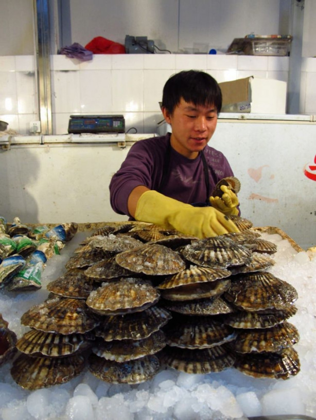 Foto - Dünyadan mutfak portreleri
