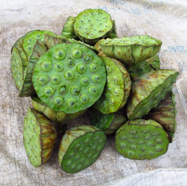 Foto - Dünyadan mutfak portreleri