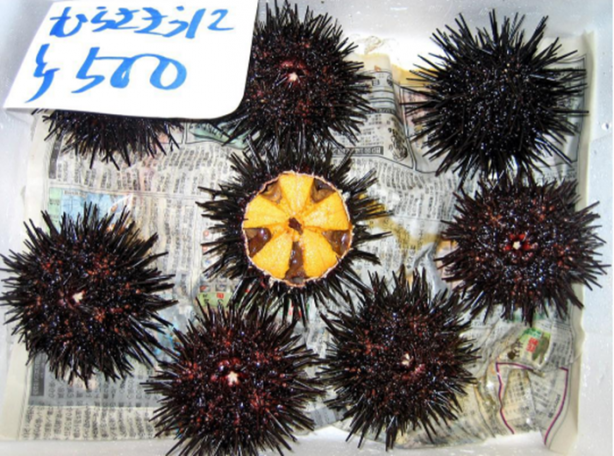 Foto - Dünyadan mutfak portreleri