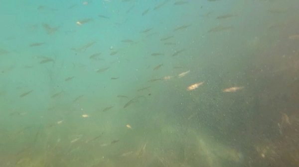 Foto - Dünyanın 2.büyük krater gölü Türkiye'de bulunuyor! 