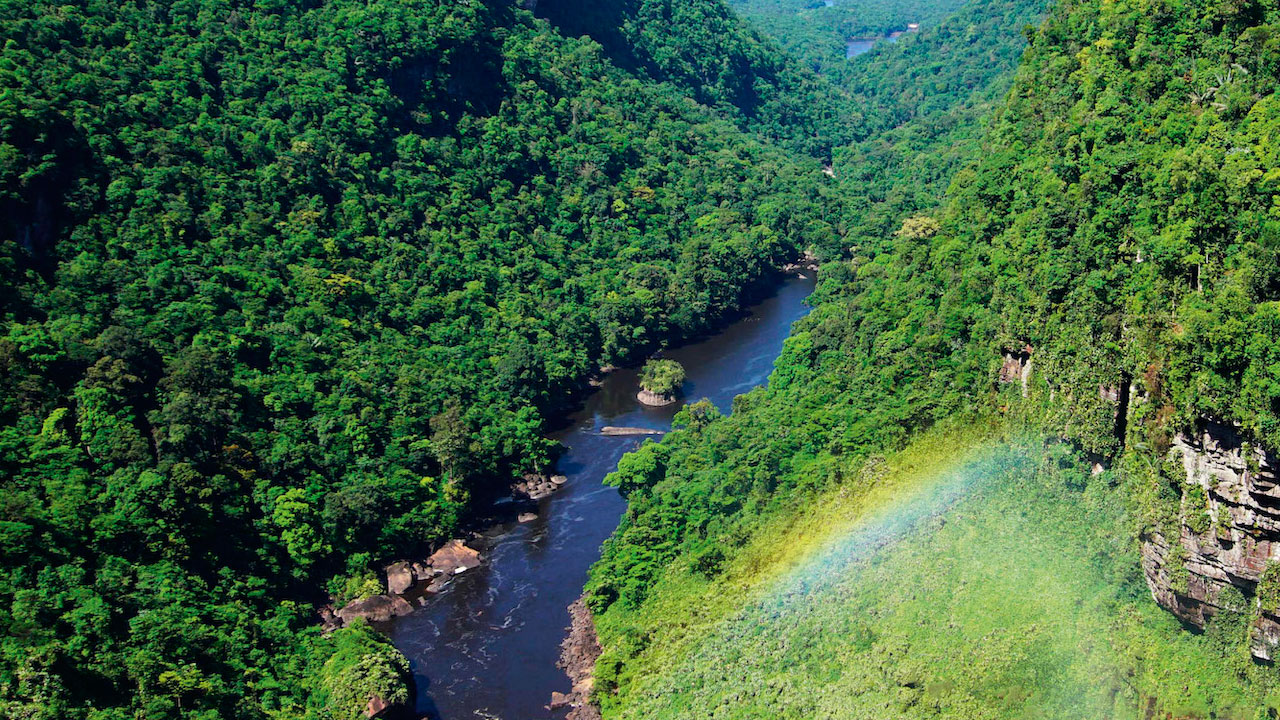 Foto - Dünyanın akciğerleri tehlikede! O ormanlar çölleşme eşiğinde