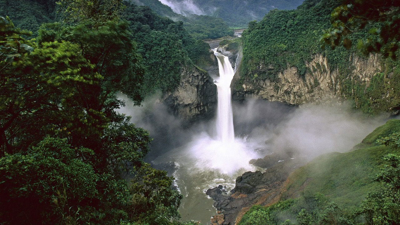 Dünyanın akciğerleri tehlikede! O ormanlar çölleşme eşiğinde