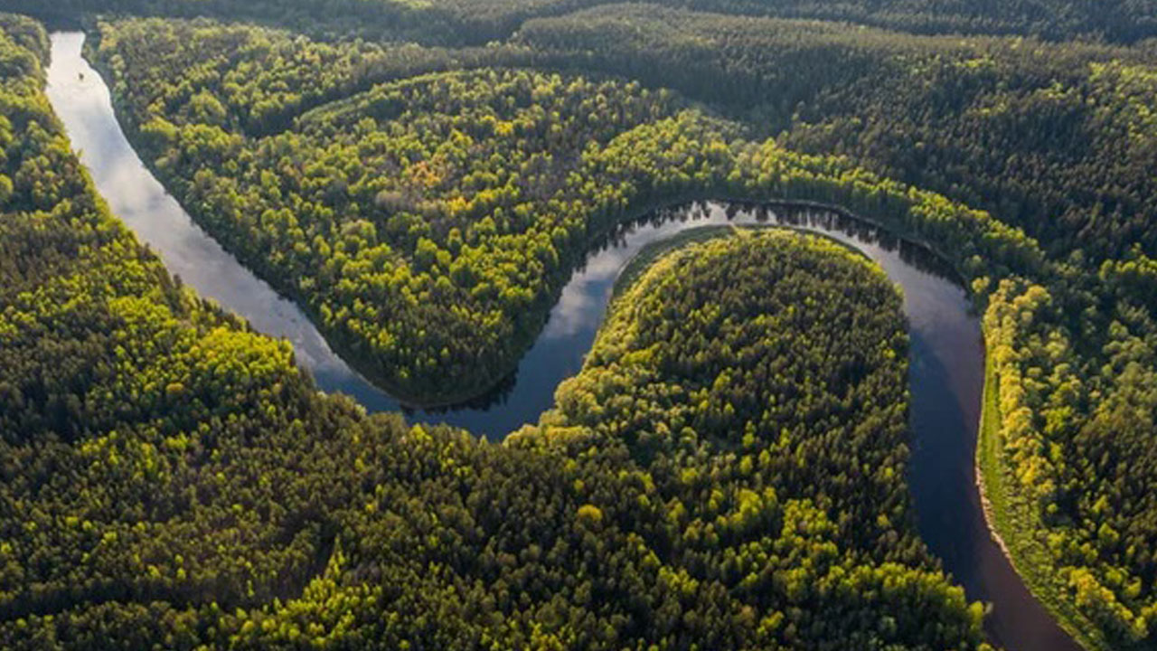 Foto - Dünyanın akciğerleri tehlikede! O ormanlar çölleşme eşiğinde