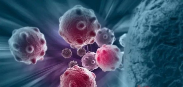 Foto - Dünyanın bir numarası seçildi! Yalnızca iki kaşık tüketmek yetiyor