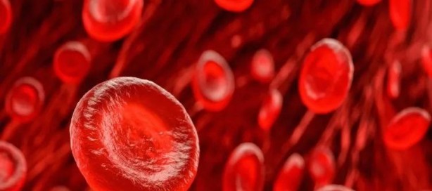 Foto - Dünyanın bir numarası seçildi! Yalnızca iki kaşık tüketmek yetiyor