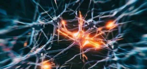 Foto - Dünyanın bir numarası seçildi! Yalnızca iki kaşık tüketmek yetiyor