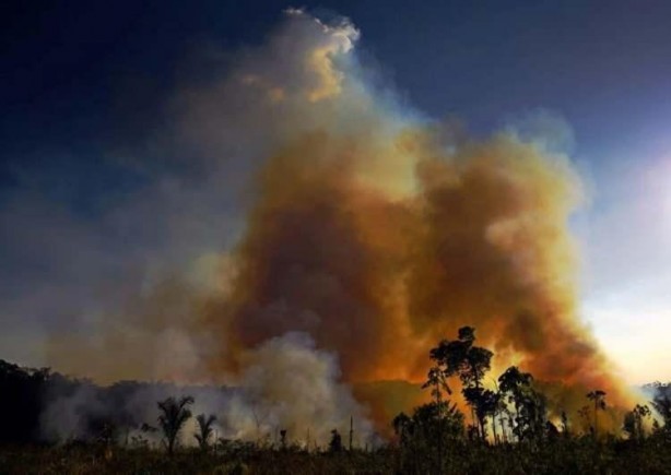 Foto - Dünyanın ciğerleri sönüyor