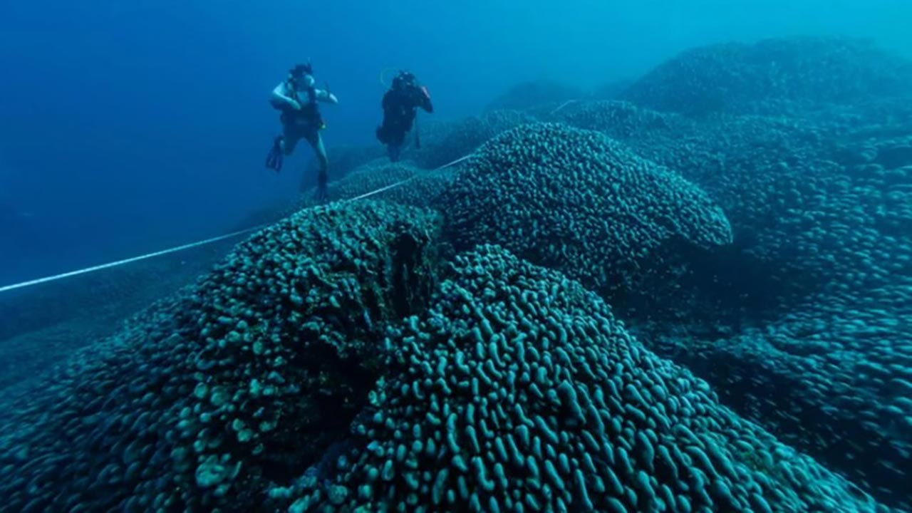 Dünyanın derinliklerinde şaşırtan keşif! 4 milyar yıllık gizemli yapılar bulundu