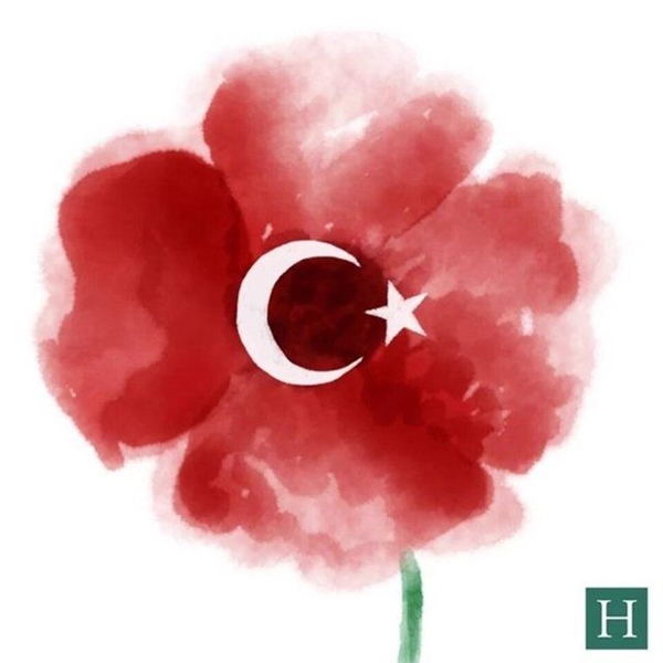 Foto - Dünyanın dört bir yanından Türkiye'ye destek