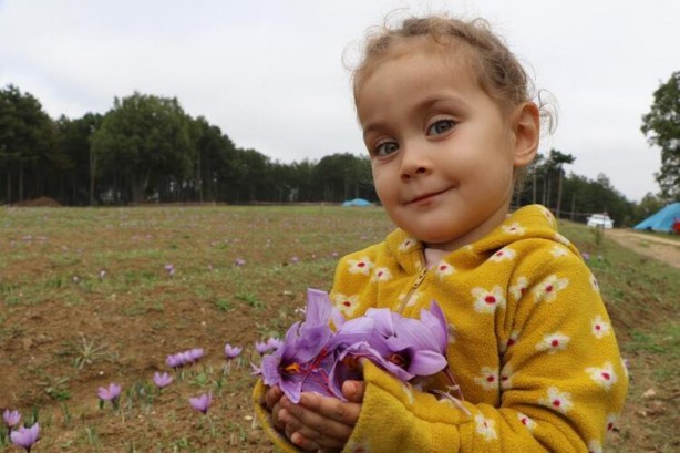 Foto - Dünyanın dört bir yanından Türkiye'ye geliyorlar! Kilosu 100 bin lira