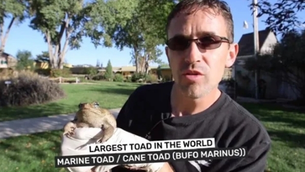 Foto - Dünyanın en büyüğü Avustralya'da bulundu! Zehir saçarak önüne geleni yiyor