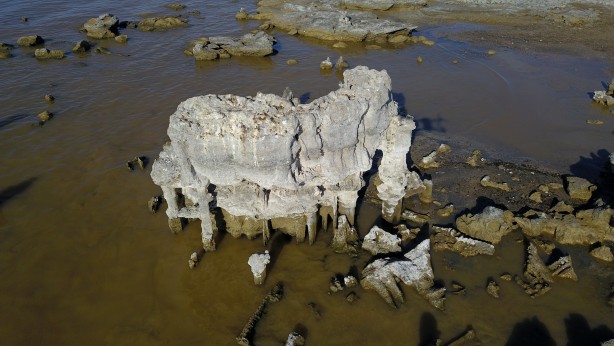Foto - Dünyanın en büyüğü ve sadece belirli bölgelerde bulunuyor! O ilimizde görenler vazgeçemedi
