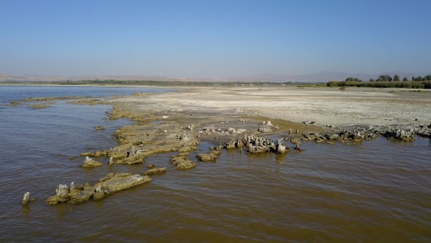 Foto - Dünyanın en büyüğü ve sadece belirli bölgelerde bulunuyor! O ilimizde görenler vazgeçemedi