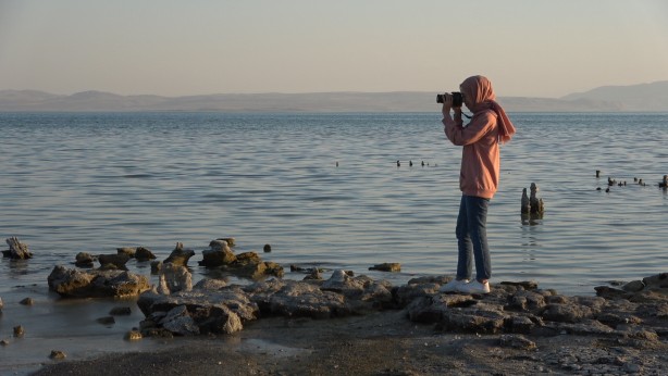 Foto - Dünyanın en büyüğü ve sadece belirli bölgelerde bulunuyor! O ilimizde görenler vazgeçemedi