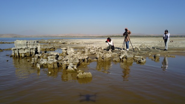 Dünyanın en büyüğü ve sadece belirli bölgelerde bulunuyor! O ilimizde görenler vazgeçemedi