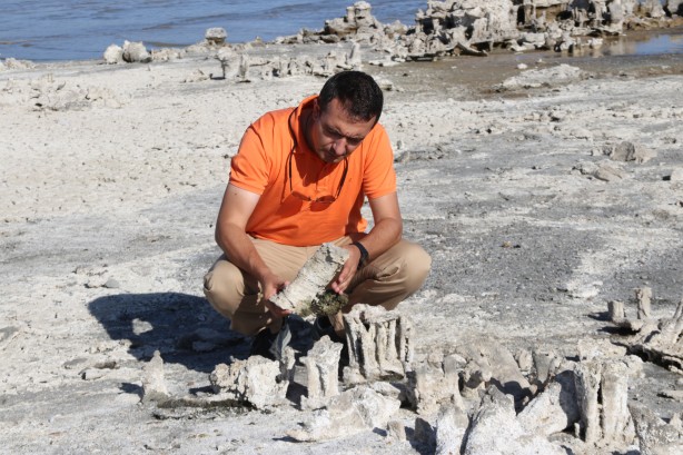 Foto - Dünyanın en büyüğü ve sadece belirli bölgelerde bulunuyor! O ilimizde görenler vazgeçemedi