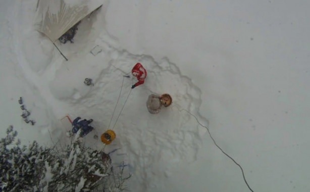 Foto - Dünyanın en büyük ağacı