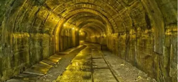 Dünyanın en büyük altın rezervi bulundu! Her yerden altın fışkırıyor ama çevreciler karşı çıktı