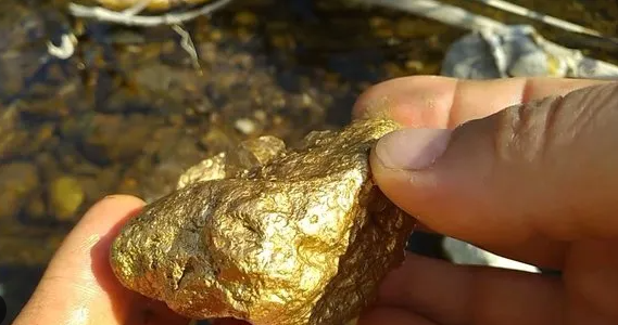 Foto - Dünyanın en büyük altın rezervi bulundu! Her yerden altın fışkırıyor ama çevreciler karşı çıktı