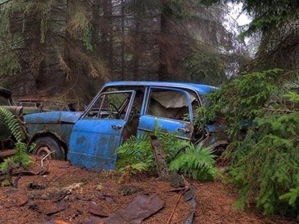 Foto - Dünyanın en büyük araba mezarlığı! Hikayesi çok ilginç!